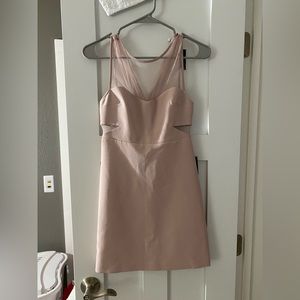 Express dress with sheer sleeves